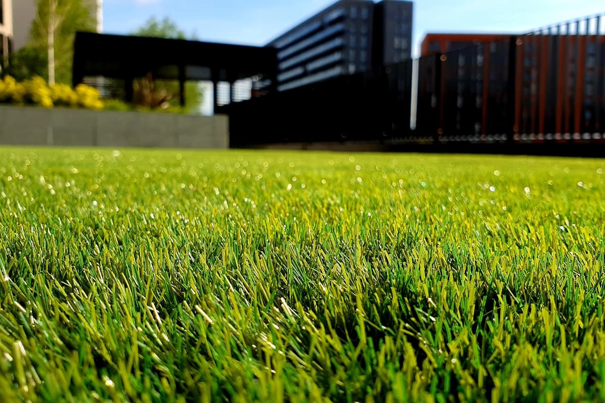Manicured coastal landscaping and grounds maintenance